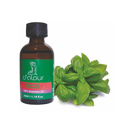 Basil / Βασιλικός