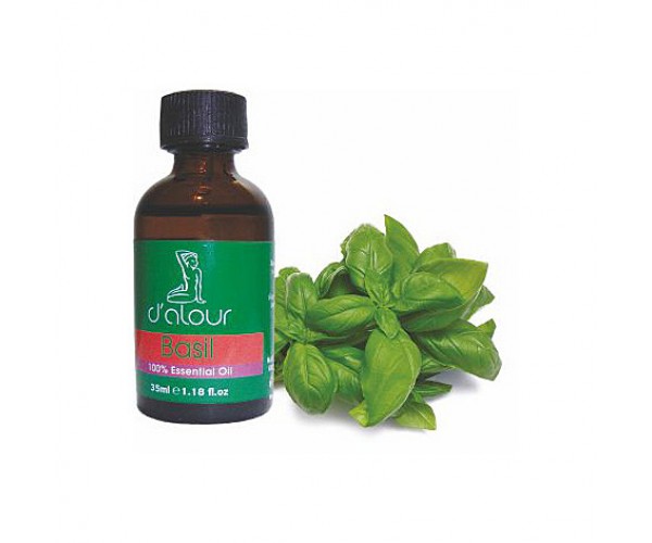 Basil / Βασιλικός
