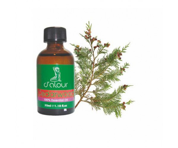 Cedarwood / Κέδρος