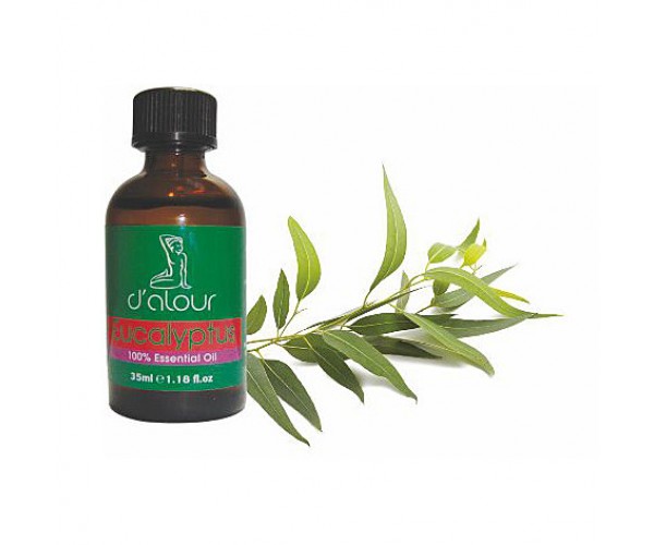 Eucalyptus / Ευκάλυπτος