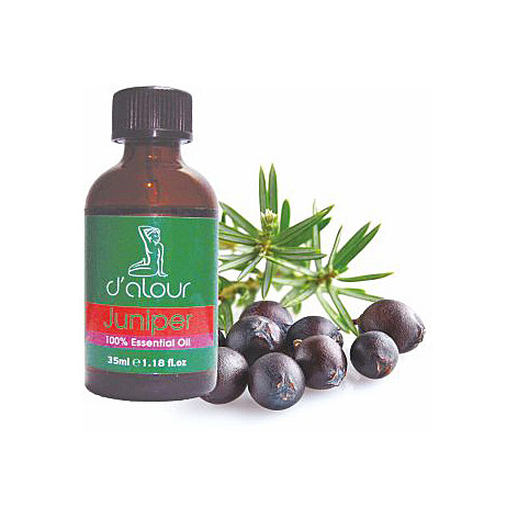 Juniper / Άρκευθος