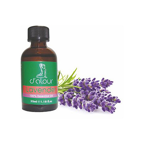 Lavender / Λεβάντα