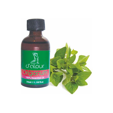 Origanum / Ρίγανη