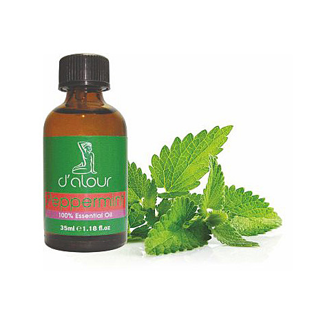 Peppermint / Μέντα