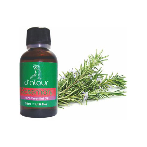 Rosemary / Δενδρολίβανο