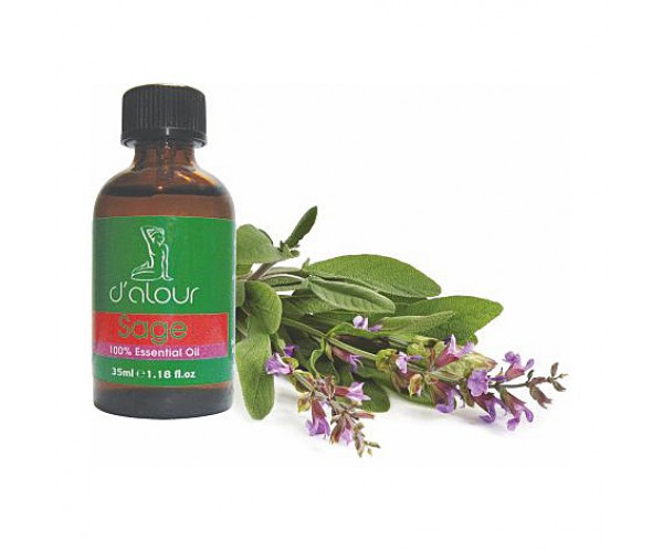 Sage / Φασκόμηλο