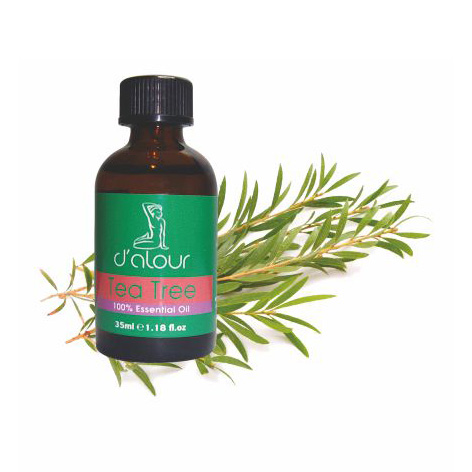 Tea tree / Μελαλεύκη