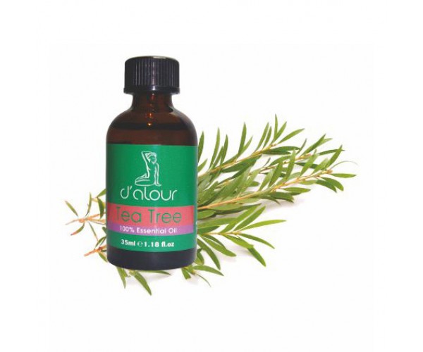 Tea tree / Μελαλεύκη