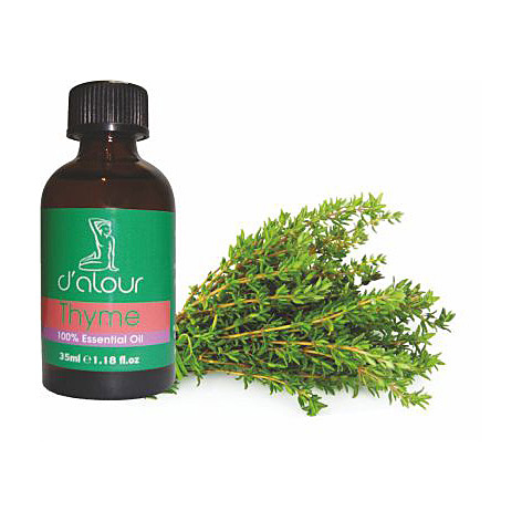 Thyme / Θυμάρι