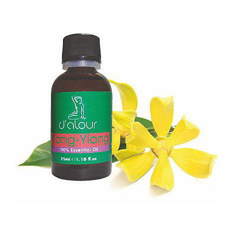 Ylang Ylang / Υλάνγκ Υλάνγκ