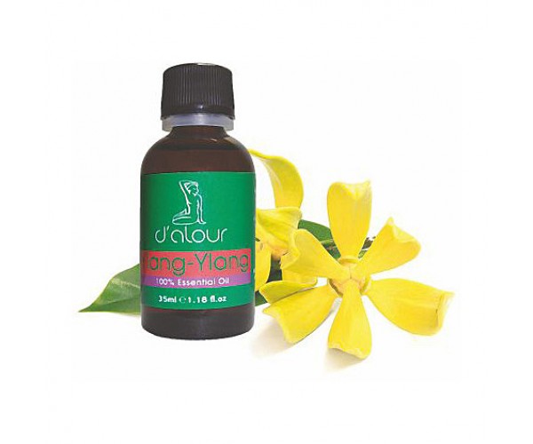 Ylang Ylang / Υλάνγκ Υλάνγκ